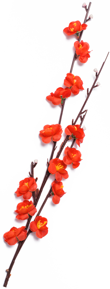 Sakura Branch